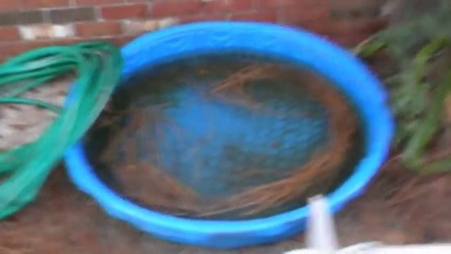 Howto Unclog Your Home's Drain Vent