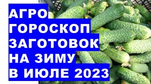 Агрогороскоп заготовок на зиму в июле 2023 года