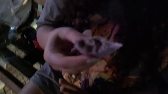 14 февраля во Вьетнаме. Пробуем первый раз моти. Семейный Vlog смотреть онлайн