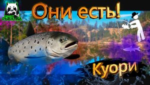 RF4 РЫБКА ЗА РЫБКОЙ ДЛЯ НОВИЧКА И НЕ ТОЛЬКО #рр4