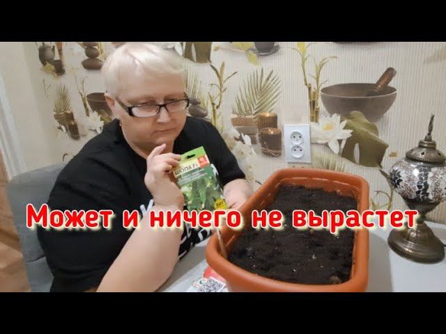 РЕШИЛА РИСКНУТЬ И УСТРОИТЬ ОГОРОД НА ПОДОКОННИКЕ