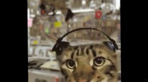 КiТ В НАУШНИКАХ 8K 60FPS (УЛУЧШЕННЫЙ МЕМ)???