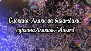 Субхана-Ллахи ва бихамдихи, субханаЛлахиль-‘Азым! Очень сильные слова✨