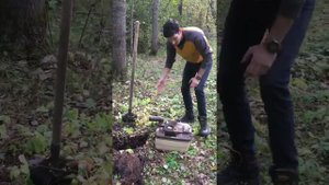 Что будет если не сливать биотуалет 3 года?