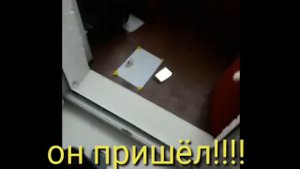 Вызов Дрим Санса! И он пришёл!!! Мы охренели!