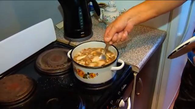 Благовещенские грибники хвалятся невиданным урожаем маслят смотреть онлайн