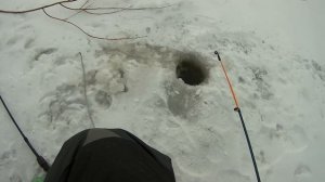 Как я ловил карпа и карася зимой на пруду