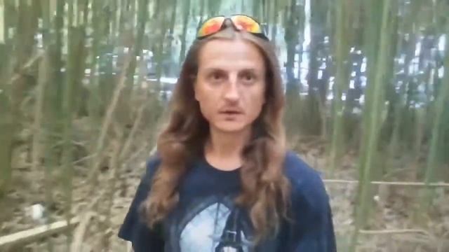 СОЧИ ( АДЛЕР 2020 ) -  БАМБУКОВЫЙ ЛЕС ! БАМБУКОВЫЙ ЛЕС В АДЛЕРЕ !
