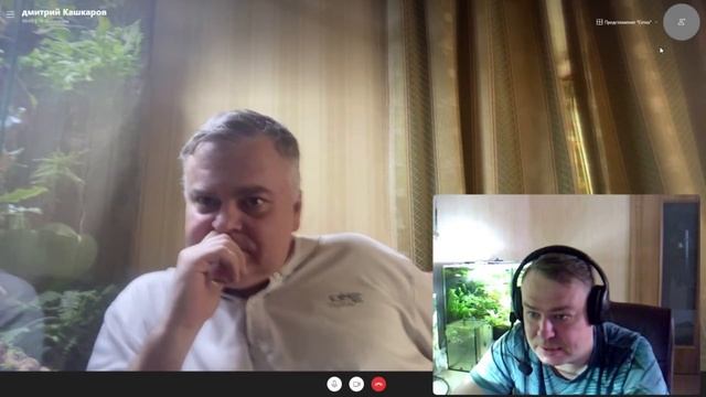 Флорариумы, лягушки и муравьи Дмитрия Кашкарова. Говорим про аквариумистику. Аква посиделки. смотреть онлайн