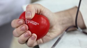 «Делитесь жизнью, делитесь часто»: как в России объединились донорство и культура