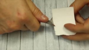 Кусачки для ногтей, педикюра и вросшего ногтя (паруса)