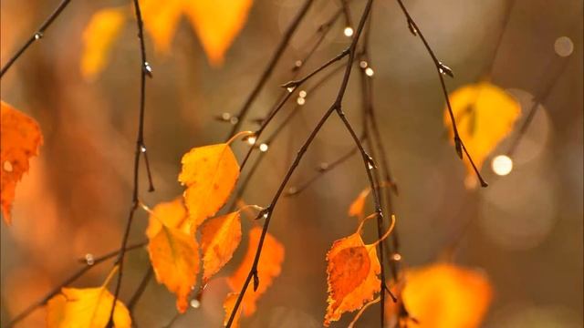 Детская песенка.Осень золотая пора. смотреть онлайн