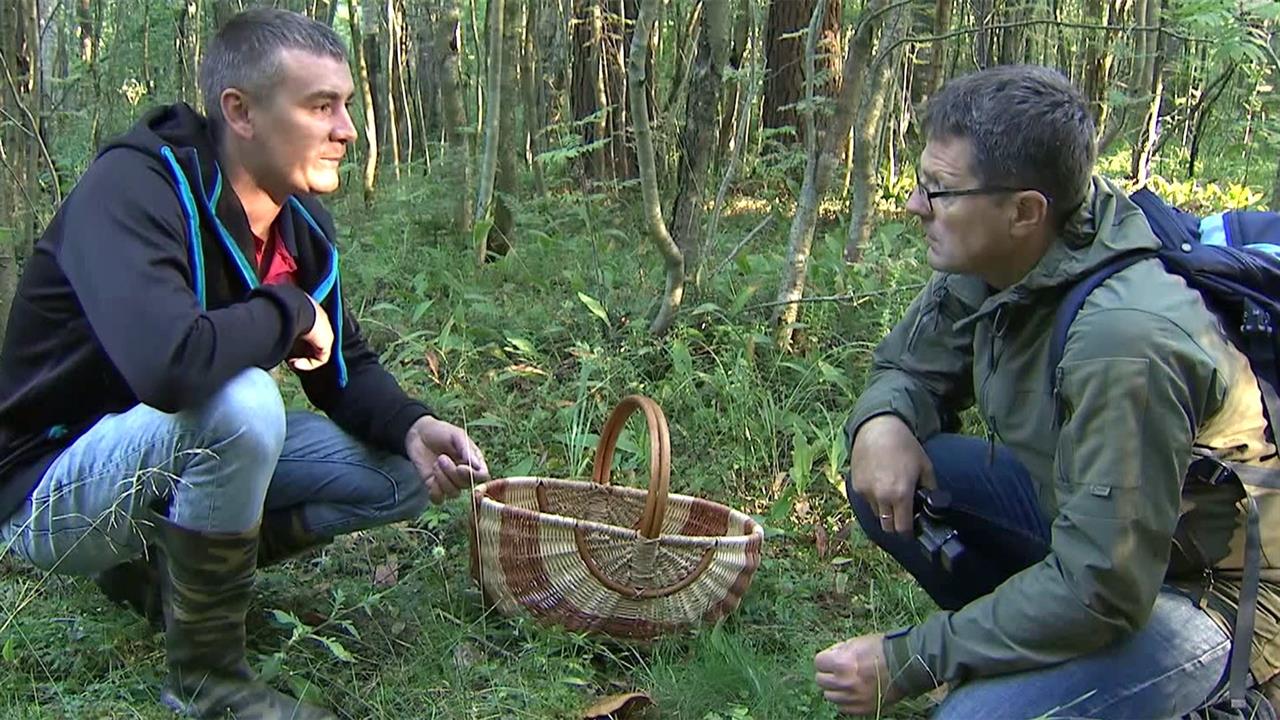 В самом разгаре сезон "тихой охоты"