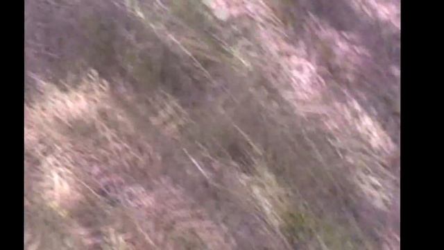 Туркестан Укаша ата смотреть онлайн