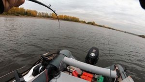 Сколько весит щука длиной 119 см? Спиннинг и катушка для ловли на бульдоги. Рыбалка на Каме