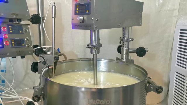 Крафтовый Сыр "Олд Джек" / Сыр из козьего молока / Мастер класс по сыроделию / Сыроварня Маджио смотреть онлайн