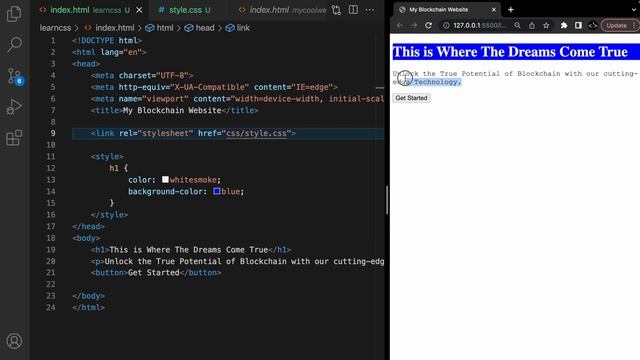 Introduction To CSS | Inline, External And Internal CSS | Web Development Course #14