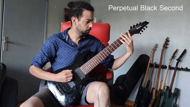 MESHUGGAH | Perpetual Black Second (guitar cover) смотреть онлайн