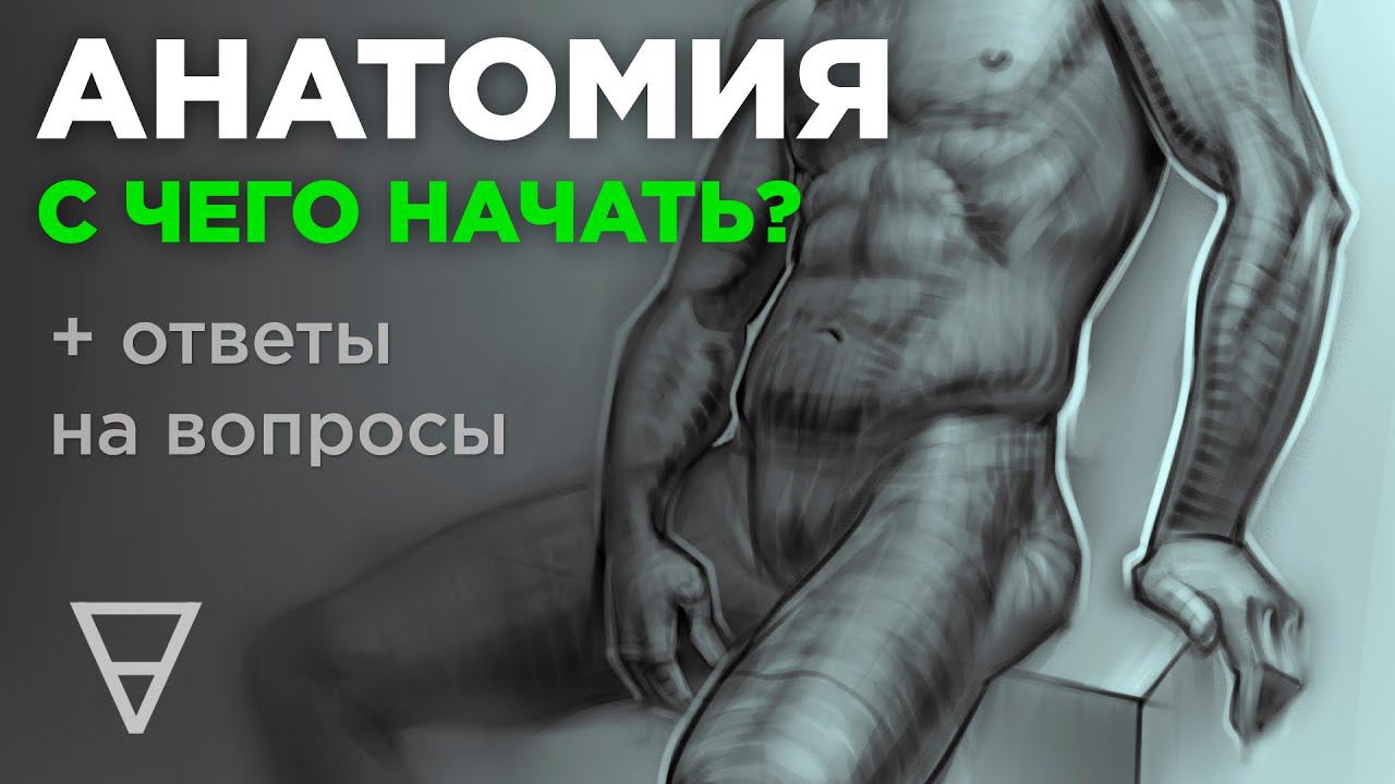 Анатомия. С чего начать изучение?