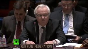 Чуркин опустил завравшегося представителя Украины, Заседание Совбеза ООН по ситуации на Украине