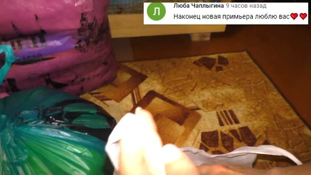 ПОБРИЛИ ХОМЯКА / ЛЫСЫЙ ХОМЯК / НОВЫЙ ПИТОМЕЦ / Alisa Easy Pets