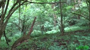 Коп в горах Кавказа.Старый фундамент.