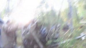 Arctic Cat MUD PRO 700, Baltmotors Jumbo 700, РМ иCFMOTO