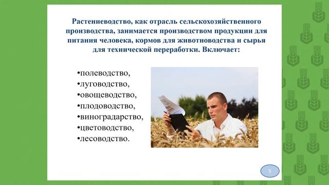 1.1 Растениеводство