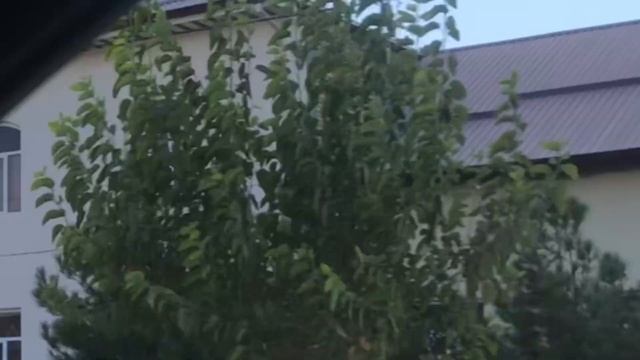 07.08.2022 г., Дорога домой. Еду на поезде в Россию. смотреть онлайн