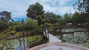 Черепашка, Форос