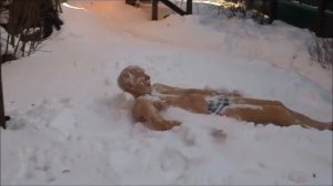 Купание в снегу