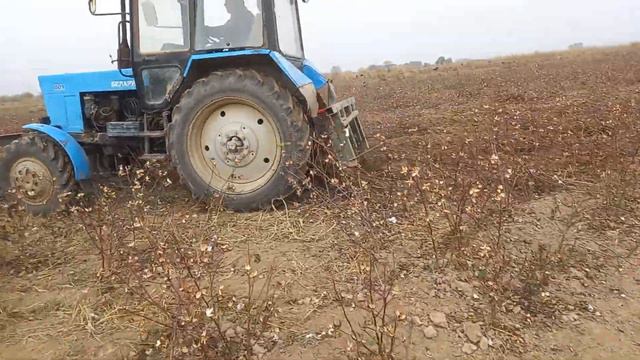 29 ноября 2023 г. смотреть онлайн