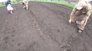 ПОСАДКА ЛУКА СЕВКА И СЕМЕЙНОГО В ОТКРЫТЫЙ ГРУНТ В ДОМАШНИХ УСЛОВИЯХ.