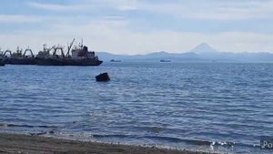 беринговое море камчатка 2021