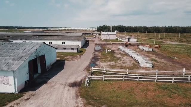 Дяковичи - старая ферма смотреть онлайн