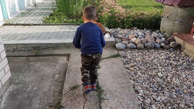 Лиса.Приколы с водой смотреть онлайн