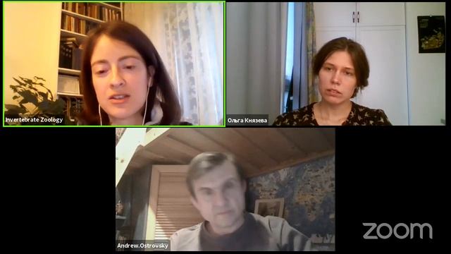 ZooInv LIVE - episode 2 - 24.04.2020 - Про коралловые рифы. смотреть онлайн