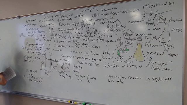 42 Monasterium 02 смотреть онлайн