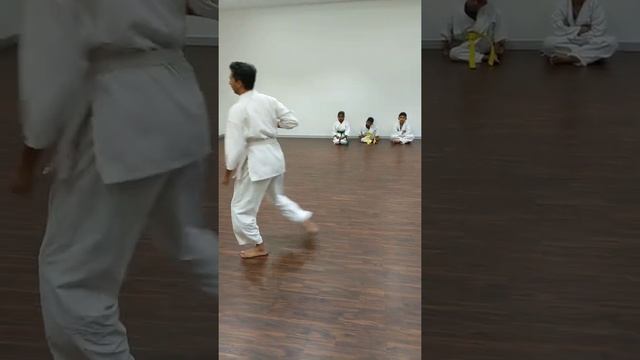 Taikyoku Shodan (Shotokan Karate Kata) - Sankalp Sinha