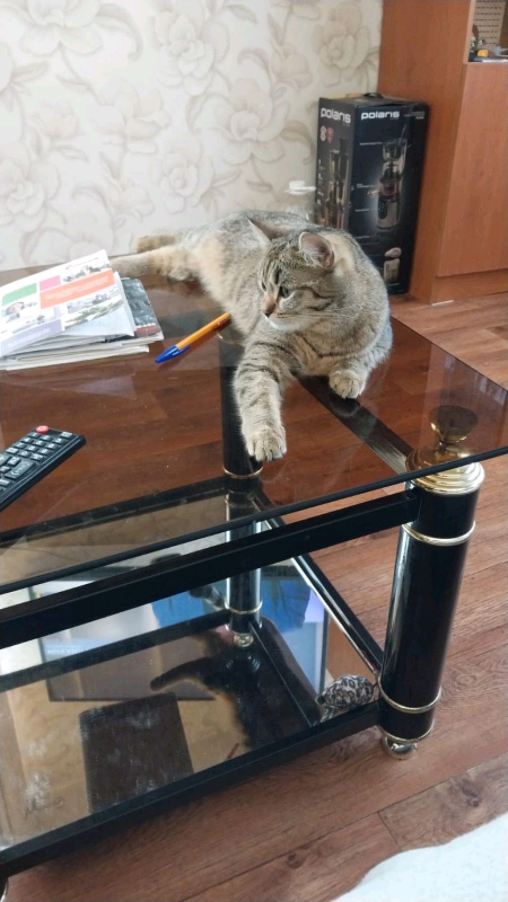 кисуля