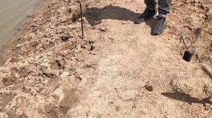 Рыбалка на реке Нура/Такой рыбалки мы не ожидали/открытие летнего сезона 2023/