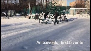 Стоит ли заводить добермана?