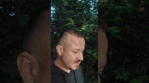 Что служит к миру?