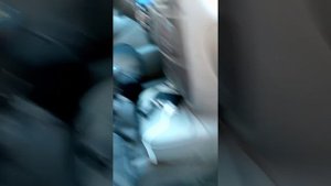 Рено Сценик 1 не работает мотор отопителя салона