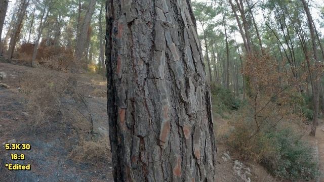 GoPro 11 Aspect Ratio Battle | 16:9 vs 8:7 | смотреть онлайн