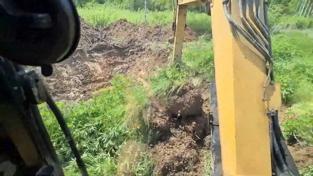 Миниэкскаватор CATERPILLAR копает озеро