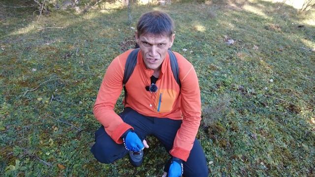 Из Барселоны за грибами