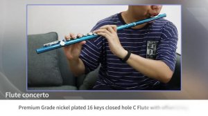 Eastar EFL-1SB Musical Flute Scale C Closed Hole 16-Key-EB017