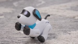 Робот ИкУ  Собака Mobicaro