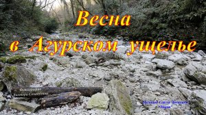 Весна в Агурском ущелье